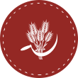 Crop Insurance