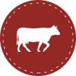Livestock Insurance